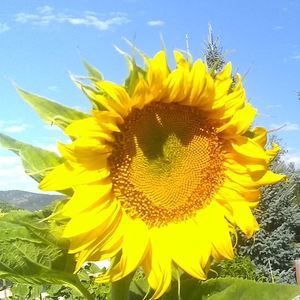 Meet your Posher, Janet